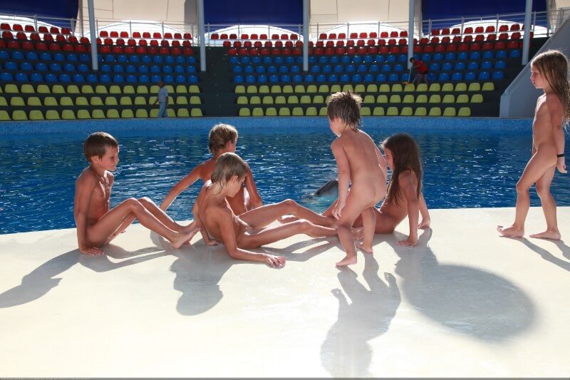 Swimming dolphins photo gallery Nudism naturism club