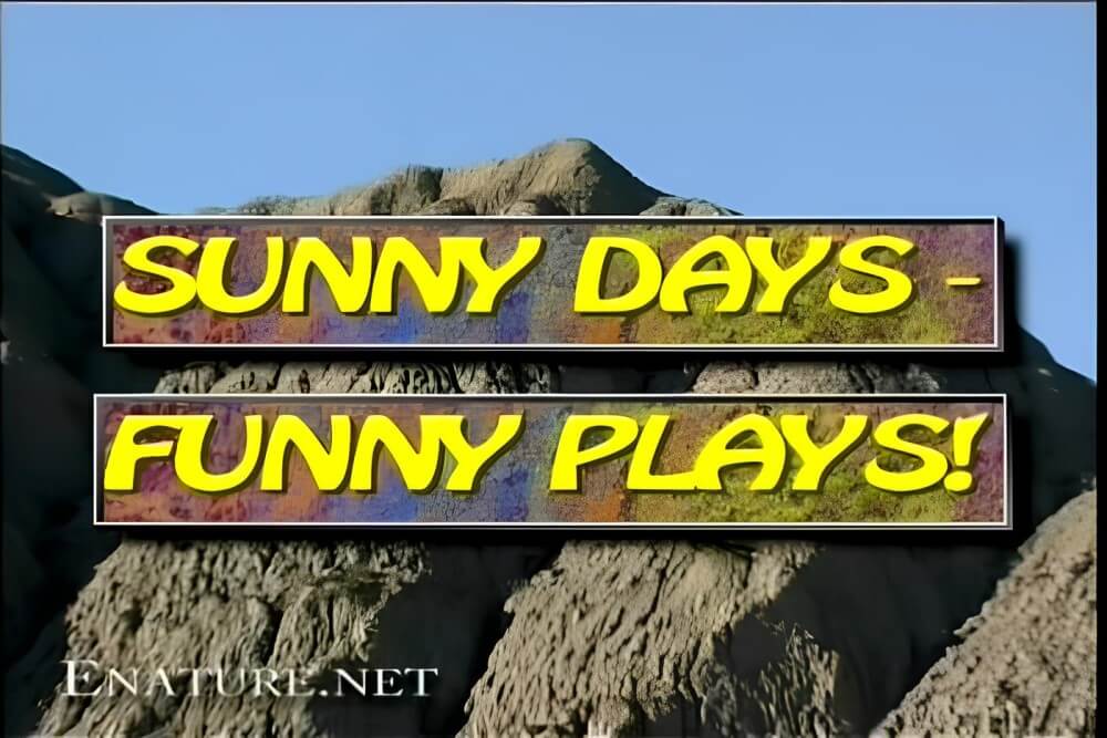 Enature - Sunny Days – Funny Plays Nudism naturism club