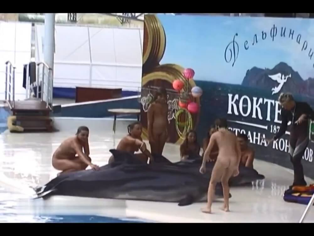 Relaxing at the dolphinarium Nudism naturism club