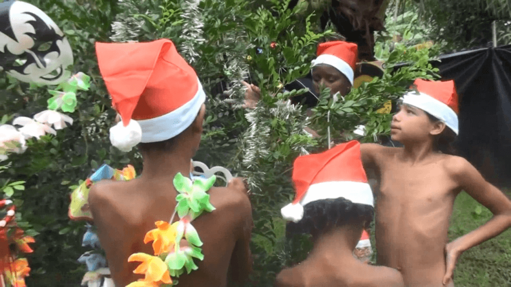 Brazil Festival Celebrations 1 Full HD Nudism naturism club